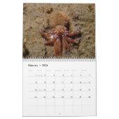 2025 Seepferd Foto Contest Calendar Kalender (Feb 2026)