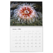 2025 Seepferd Foto Contest Calendar Kalender (Jan 2026)