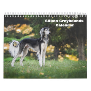 2025 Silken Greyhounds Welpen Kalender