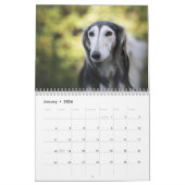 2025 Silken Greyhounds Welpen Kalender (Jan 2026)