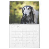 2025 Silken Greyhounds Welpen Kalender (Jan 2027)