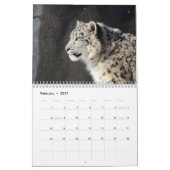 2025 Snow Leopard-Kalender Kalender (Feb 2027)