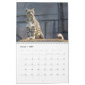 2025 Snow Leopard-Kalender Kalender (Jan 2027)