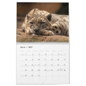 2025 Snow Leopard-Kalender Kalender (Mär 2027)
