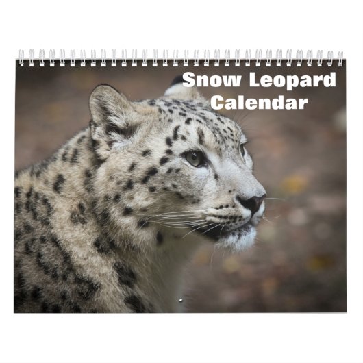 2025 Snow Leopard-Kalender Kalender (Titelbild)