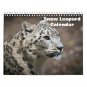2025 Snow Leopard-Kalender Kalender (Titelbild)