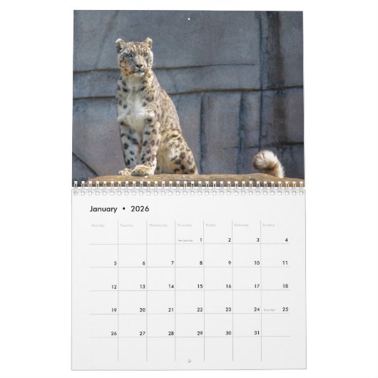 2025 Snow Leopard-Kalender Kalender (Jan 2026)