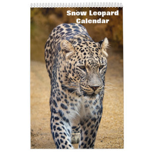 2025 Snow Leopard-Kalender Kalender