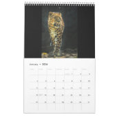 2025 Snow Leopard-Kalender Kalender (Jan 2026)