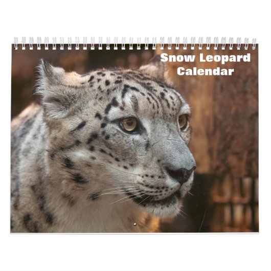 2025 Snow Leopard-Kalender Kalender (Titelbild)