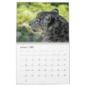 2025 Snow Leopard-Kalender Kalender (Jan 2027)