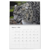 2025 Snow Leopard-Kalender Kalender (Feb 2026)