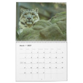 2025 Snow Leopard-Kalender Kalender (Mär 2027)