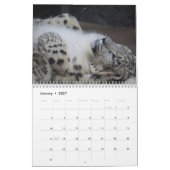 2025 Snow Leopard-Kalender Kalender (Jan 2027)