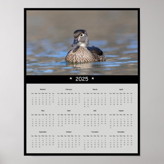 2025: Terminkalender für die Holzhalde Poster (Vorne)