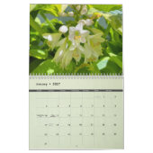 2025 Tollerton Gardens Kalender (Jan 2027)