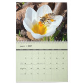 2025 Tollerton Gardens Kalender (Mär 2027)