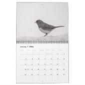 2025 Vögel des Kalenders Vermont Kalender (Jan 2026)
