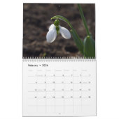 2025 vom Gartenkalender Lins Kalender (Feb 2026)