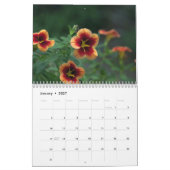2025 vom Gartenkalender Lins Kalender (Jan 2027)
