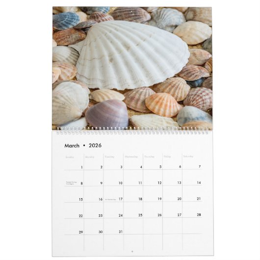 2025 Wall Seashell Kalender Geschenk (Mär 2026)