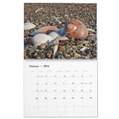 2025 Wall Seashell Kalender Geschenk (Feb 2026)