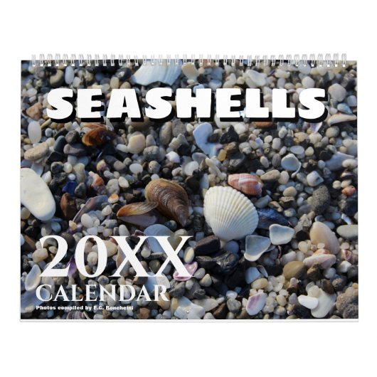 2025 Wall Seashell Kalender Geschenk (Titelbild)