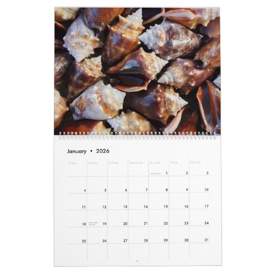 2025 Wall Seashell Kalender Geschenk (Jan 2026)