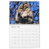 2025 - Welt der Vögel Kalender (Feb 2027)