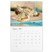 2025 Wertvolle Paws Kalender (Feb 2027)
