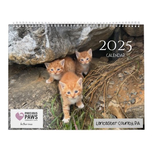 2025 Wertvolle Paws Kalender (Titelbild)