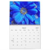 2025 wird farbenfroher Kalender (Mär 2027)