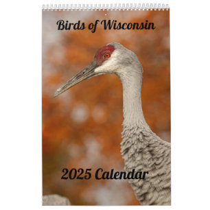 2025 Wisconsin-Vogelkalender Kalender