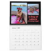 2026 15 Kalender BiblioPup: Luna & ihre Fave Books (Jan 2027)