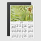 2026 5x7 Magnet Calendar Amau Hawaiian Fern (Vorne/Hinten)
