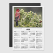 2026 5x7 Magnet Calendar Apapane Hawaiian Bird (Vorne/Hinten)