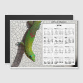 2026 5x7 Magnet Calendar Gold Dust Day Gecko (Vorne/Hinten)