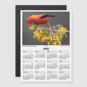 2026 5x7 Magnet Calendar Iiwi Hawaiian Bird (Vorne/Hinten)