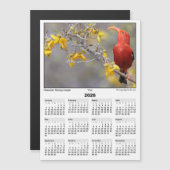 2026 5x7 Magnet Calendar Iiwi HawaiianHoneycreeper (Vorne/Hinten)