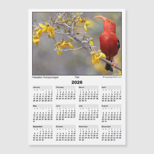 2026 5x7 Magnet Calendar Iiwi HawaiianHoneycreeper (Vorderseite)