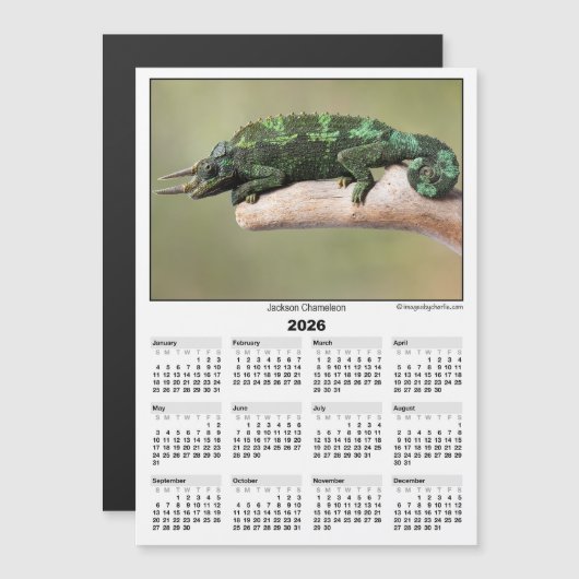 2026 5x7 Magnet Calendar Jackson Chameleon (Vorne/Hinten)