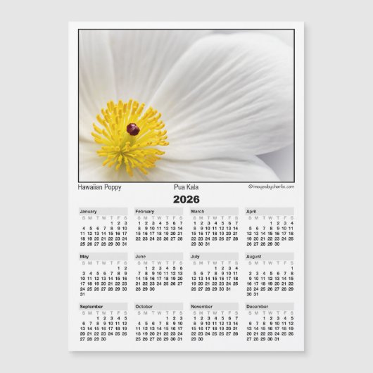 2026 5x7 Magnet Calendar Pua Kala Hawaiian Poppy (Vorderseite)