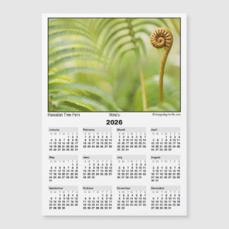 2026 5x7 Magnet-Kalender Amau Hawaiian Fern Magnetkarte