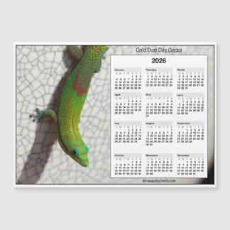 2026 5x7 Magnet-Kalender Goldstaub-Taggecko Magnetkarte