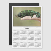 2026 5x7 Magnet Kalender Jackson Chamäleon (Vorne/Hinten)