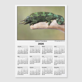 2026 5x7 Magnet Kalender Jackson Chamäleon