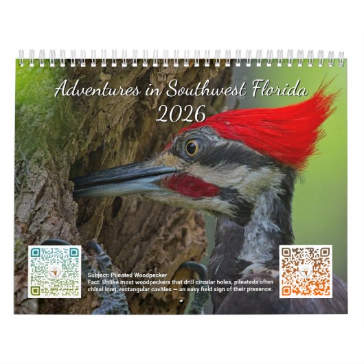 2026 Abenteuer im Südwesten von Florida Kalender (Titelbild)