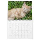 2026 Adorable Kittens Zwölf Monate Katze Kalender (Mär 2026)