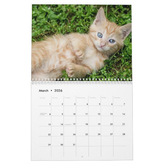 2026 Adorable Kittens Zwölf Monate Katze Kalender (Mär 2026)