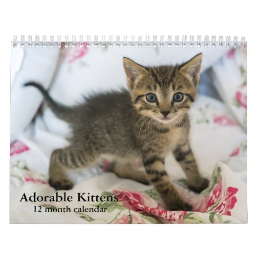2026 Adorable Kittens Zwölf Monate Katze Kalender (Titelbild)